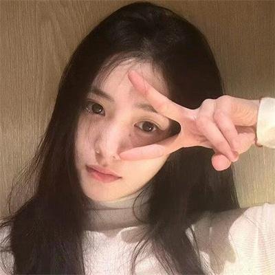 欢迎来到丛林